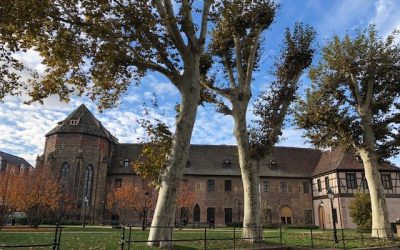 Restaurierungskampagne des Musée Unterlinden