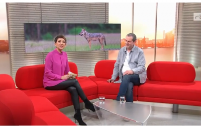 Heiko Anders zu Gast bei “zibb”